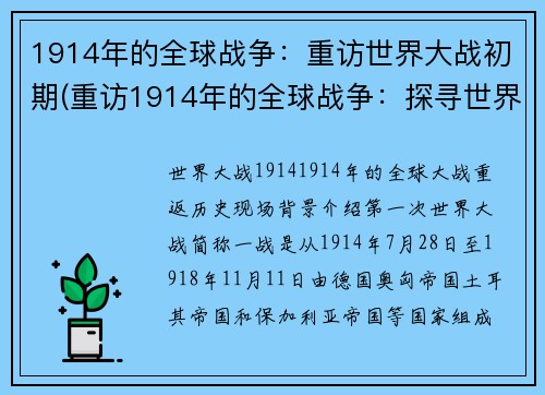 1914年的全球战争：重访世界大战初期(重访1914年的全球战争：探寻世界大战初期的奥秘)